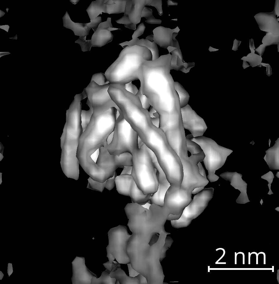 Averaged tubulin